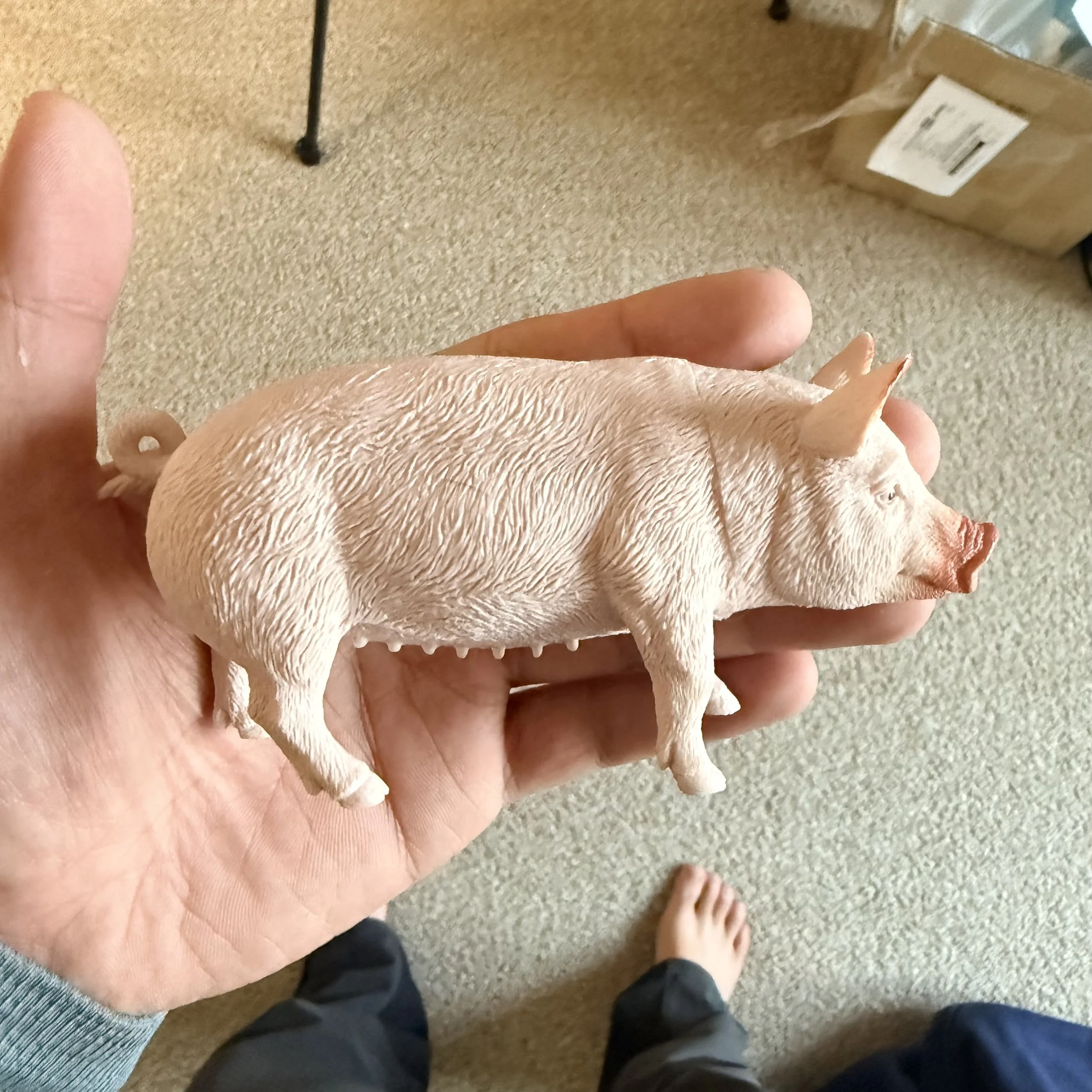 Forced perspective miniature pig scene
